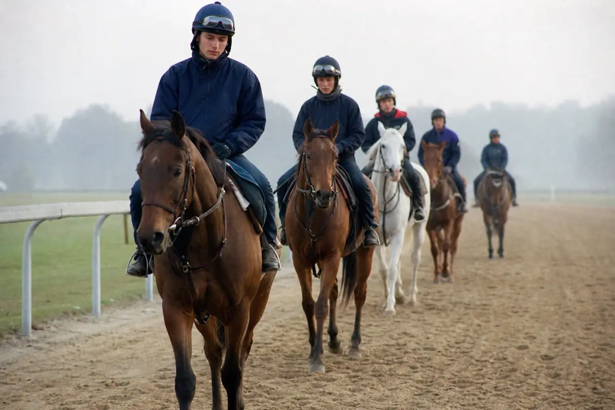Jeunes chevaux de deux ans à l'entraînement, montés par des cavaliers