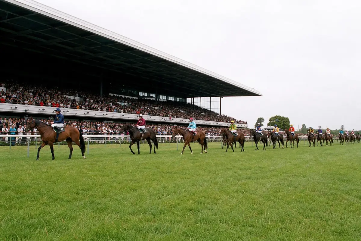 Chevaux qui défilent devant les tribunes au début d'une course de fond
