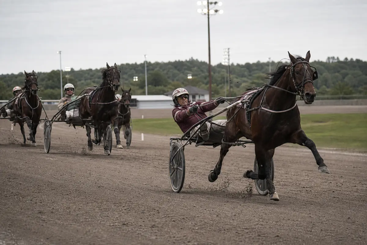 Trotteur qui se désunit et se met au galop pendant une course