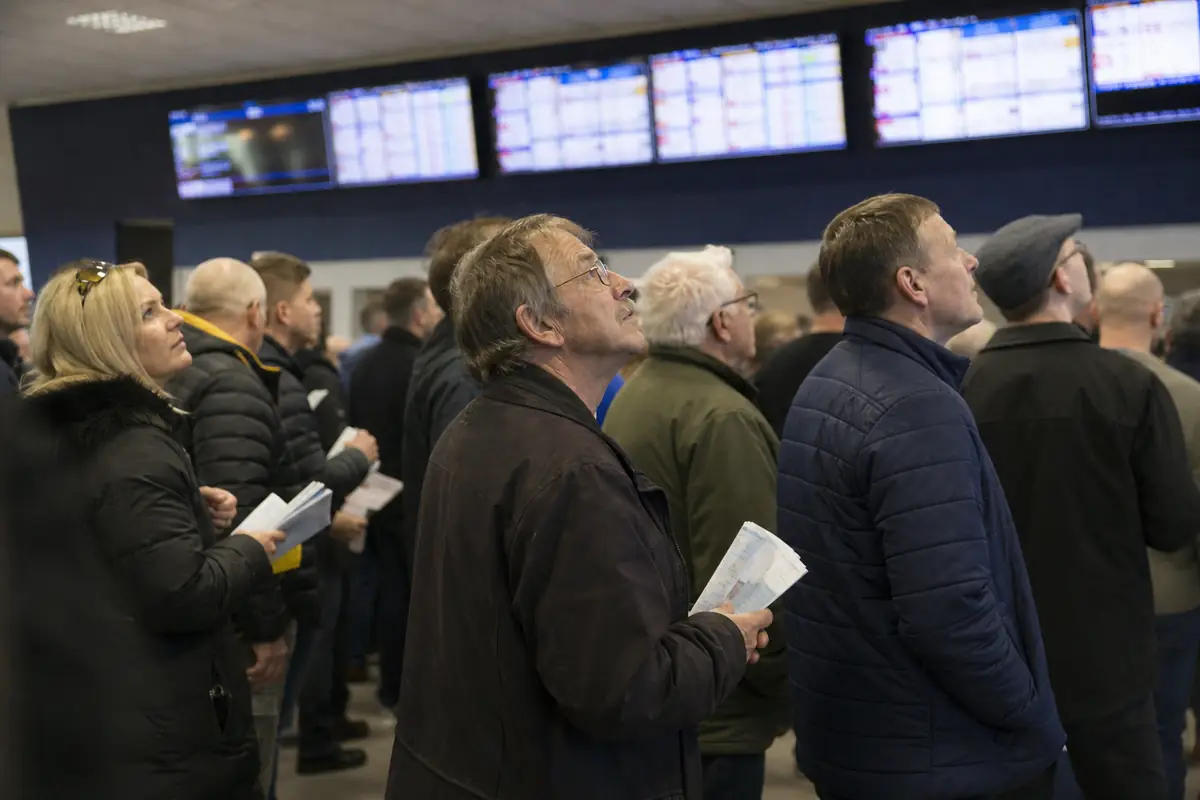 Parieurs qui fixent les écrans de cotes dans les minutes précédant une course
