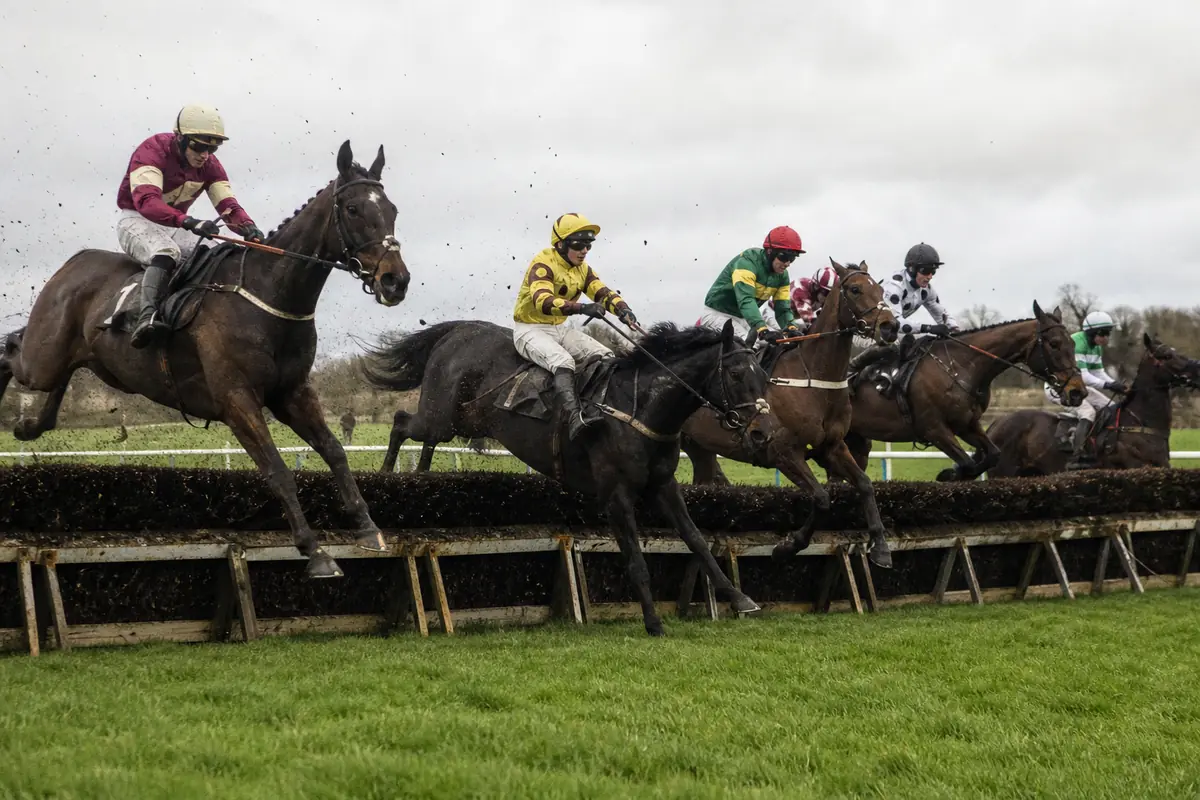 Chevaux qui franchissent une haie ensemble pendant une course d'obstacles
