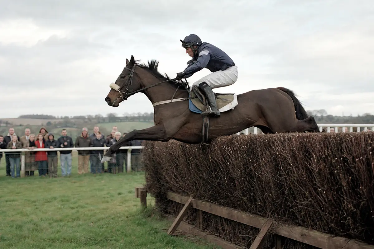Cheval de steeple-chase qui franchit un gros obstacle de branches