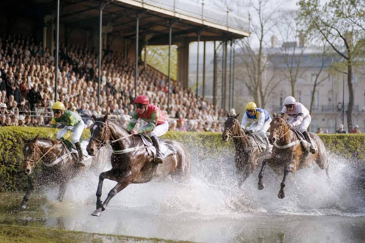 Chevaux de steeple franchissant un obstacle d'eau devant les tribunes