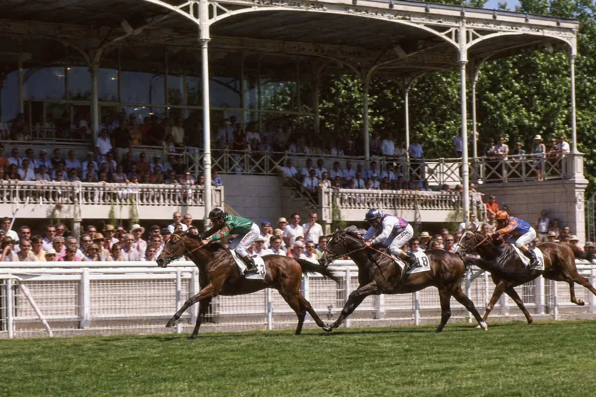 Chevaux de plat en course sur un hippodrome urbain du Sud-Ouest
