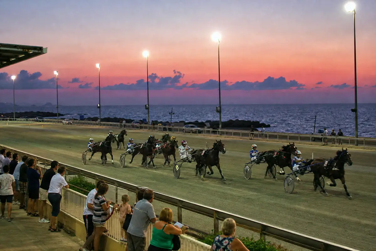 Course de trot en soirée sous les projecteurs d'un hippodrome de bord de mer