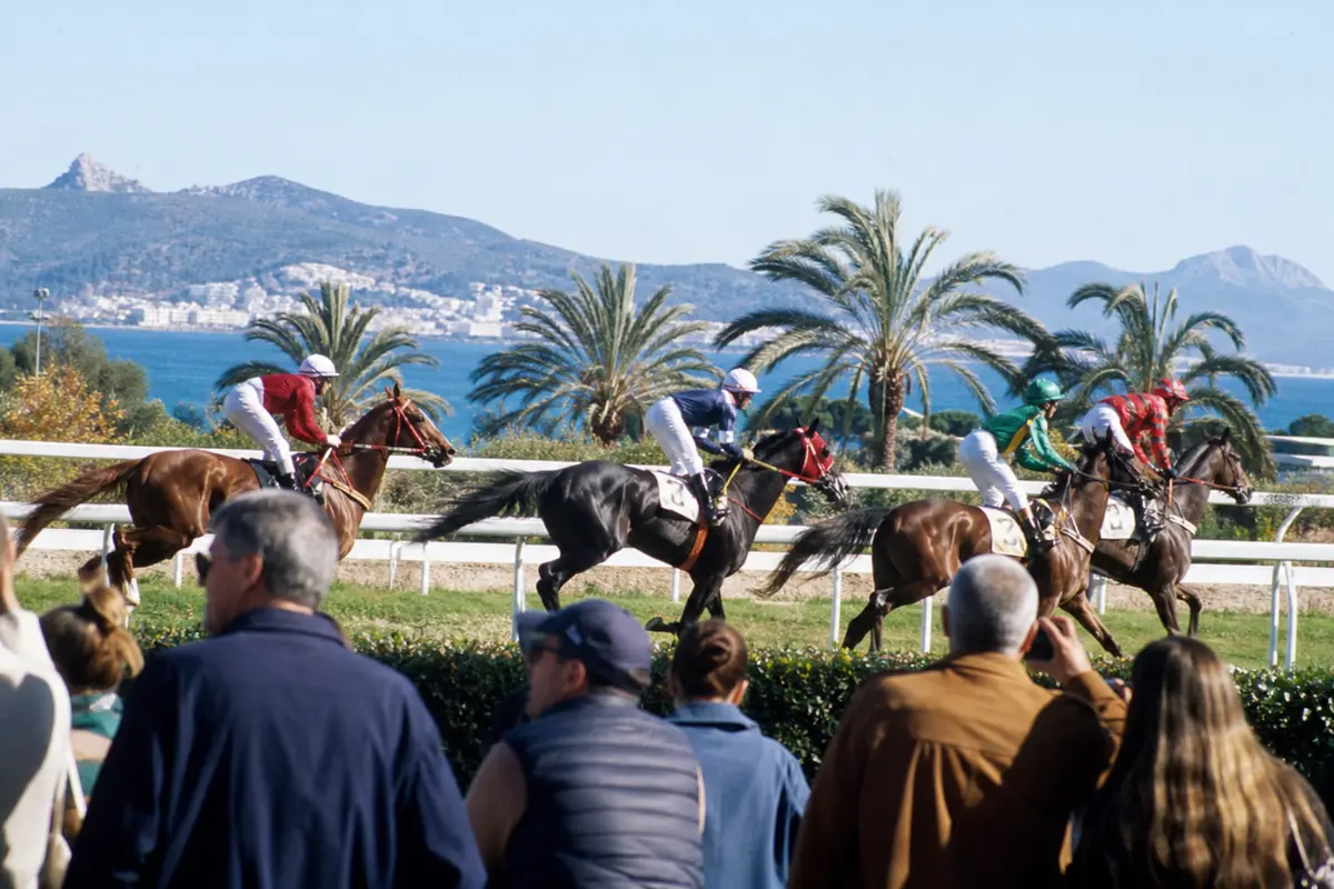 Chevaux de course au bord de la Méditerranée sur un hippodrome ensoleillé