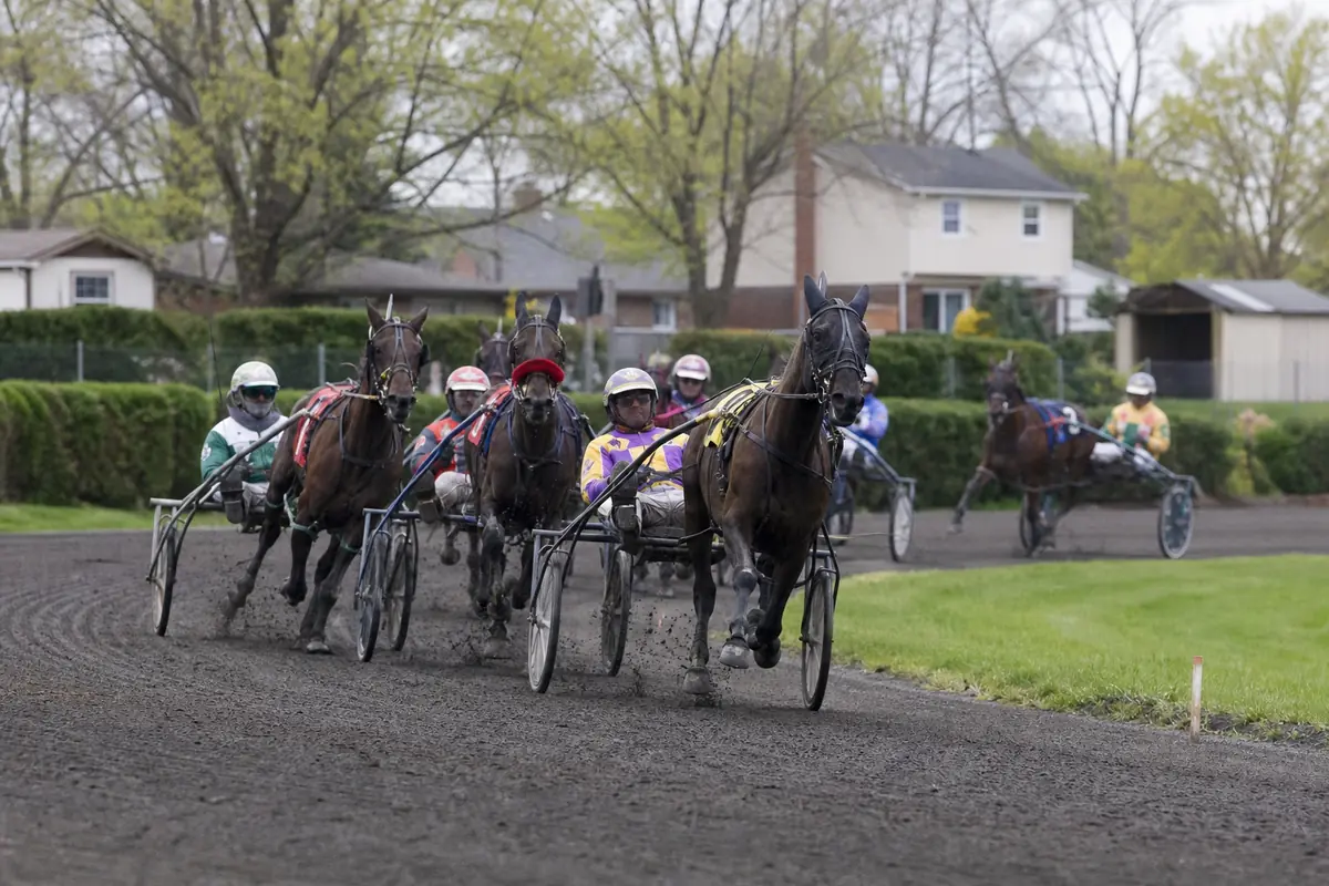 Trotteurs attelés dans un tournant d'un hippodrome de banlieue parisienne