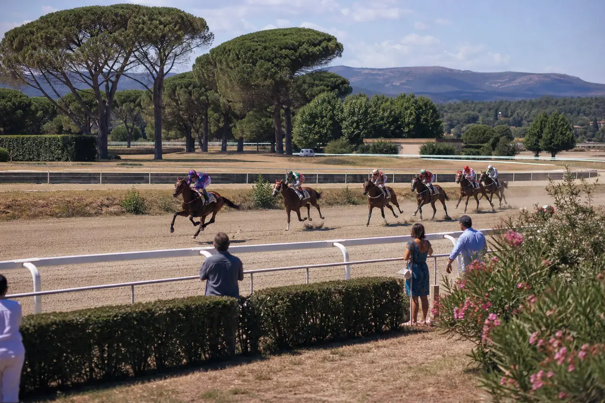 Petit hippodrome provençal avec des pins parasols en arrière-plan