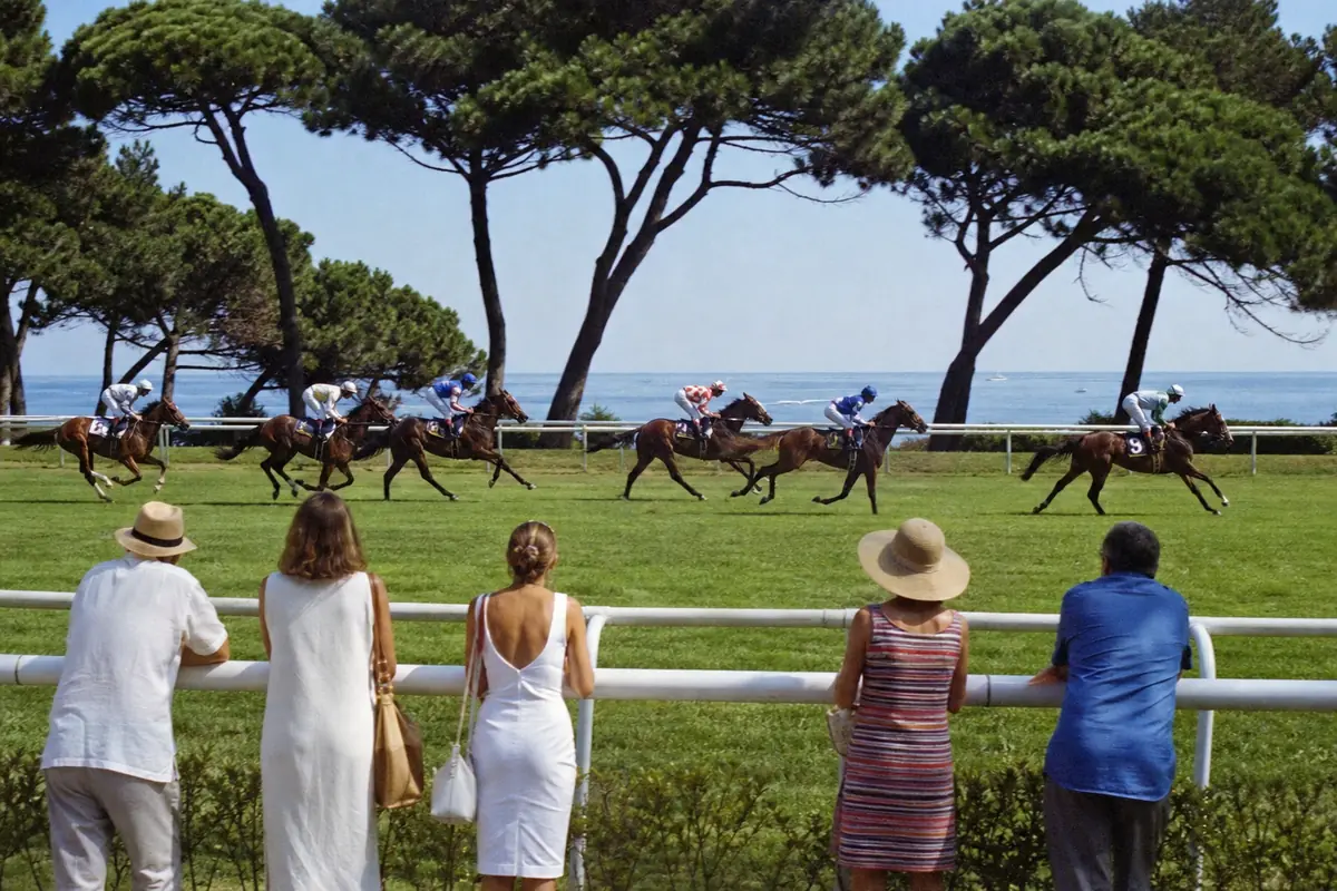 Chevaux de plat sur un hippodrome entouré de pins près de la mer