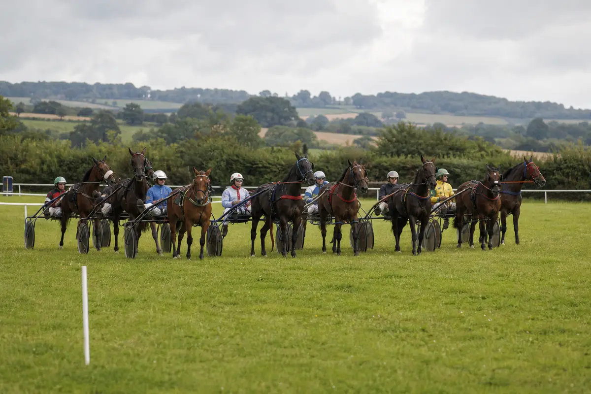 Trotteurs au départ d'une course sur un hippodrome de province verdoyant