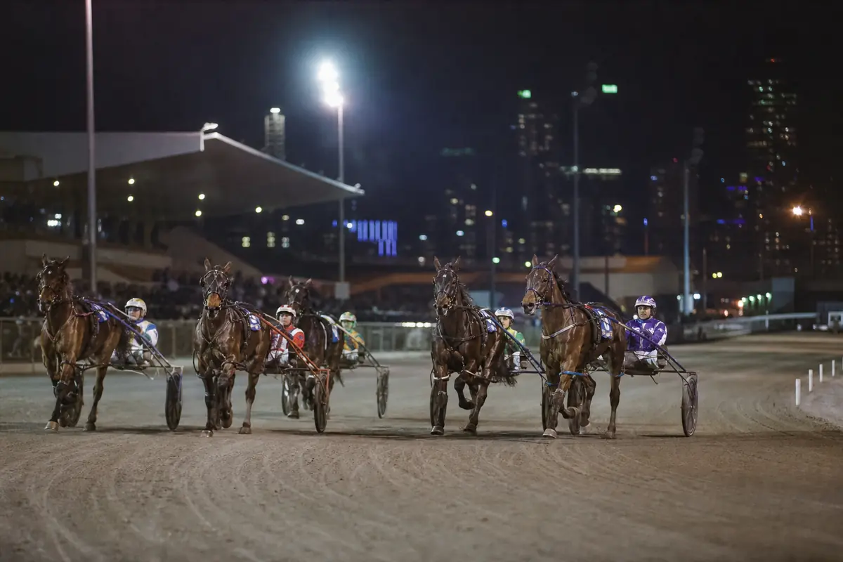 Trotteurs attelés sous les projecteurs d'un hippodrome moderne en ville