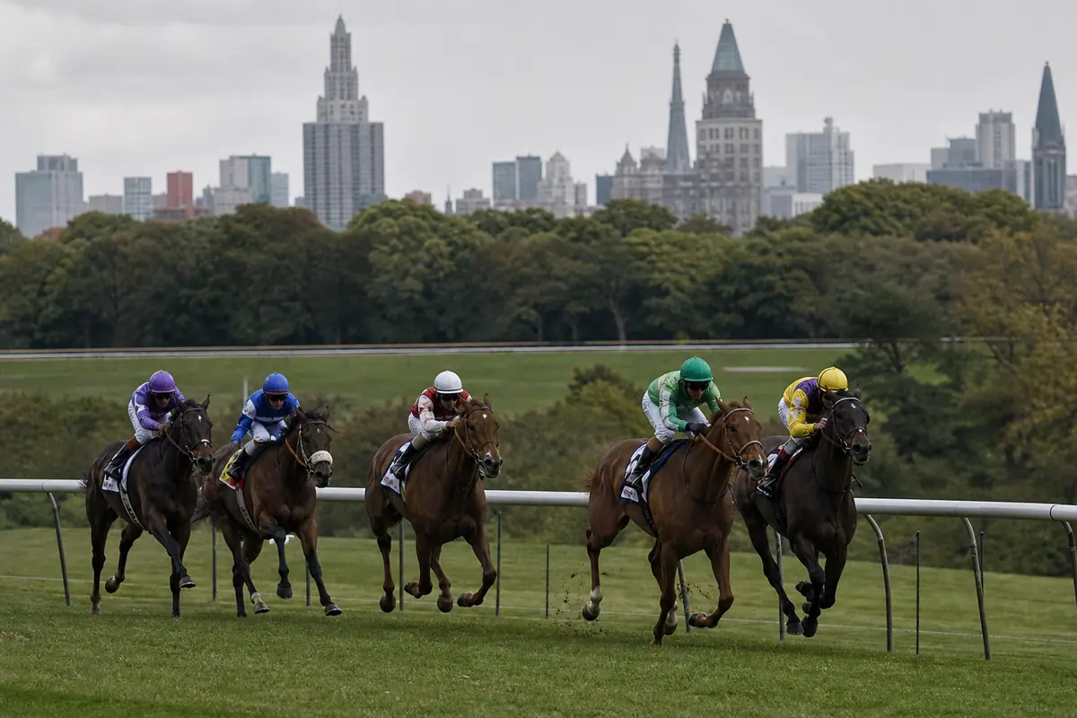 Chevaux de plat en course sur un hippodrome entouré d'un grand parc urbain
