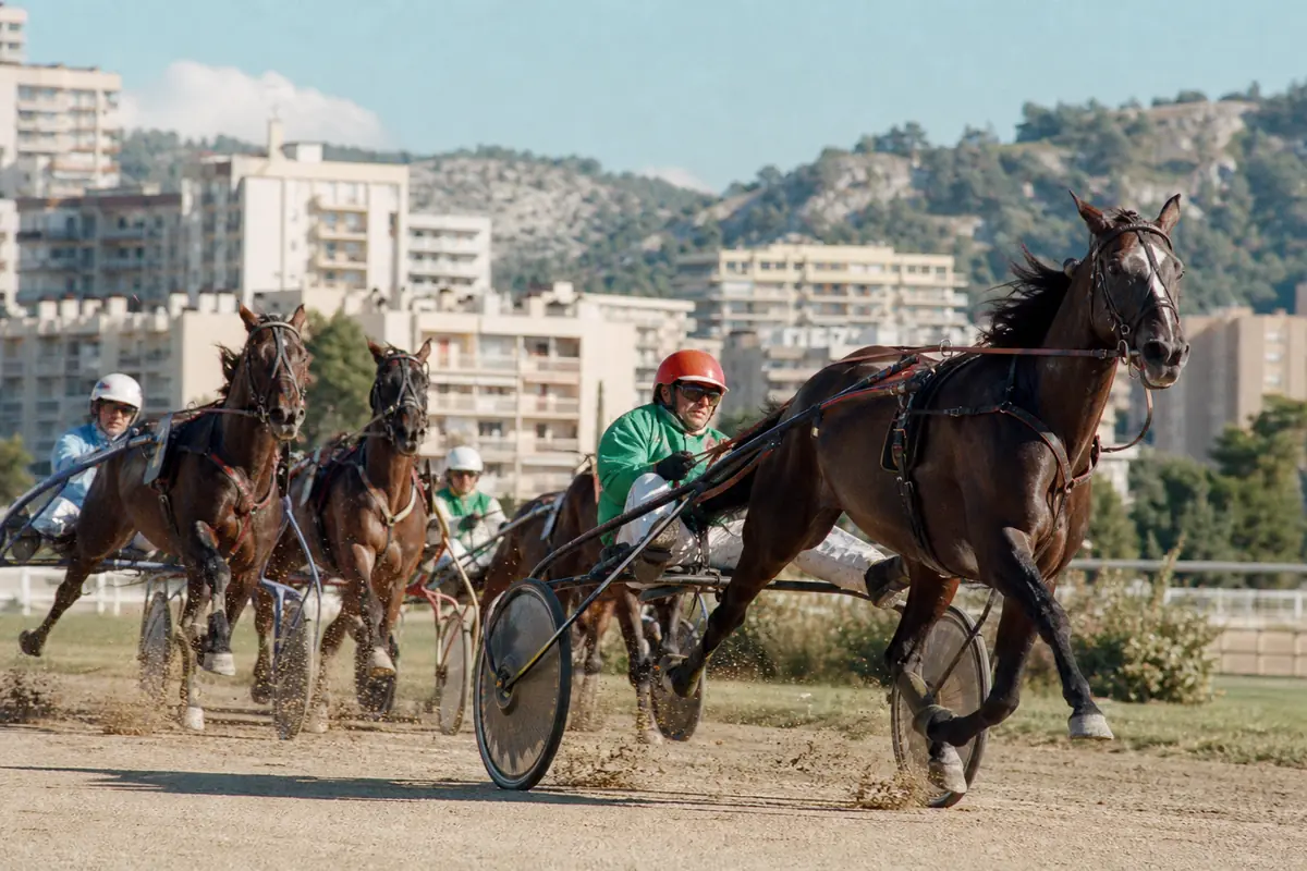 Trotteurs attelés en course sur un hippodrome urbain du Sud