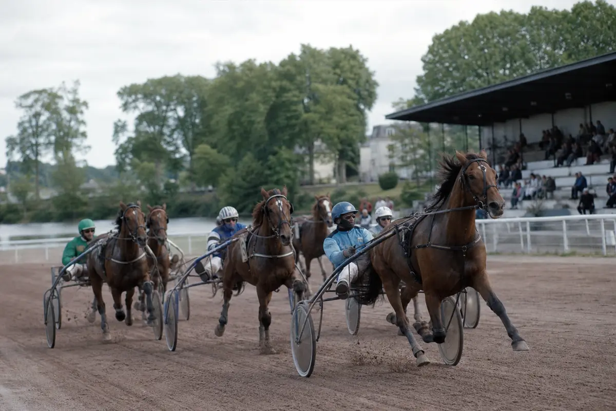 Course de trot sur un hippodrome urbain de l'Ouest avec des arbres en arrière-plan