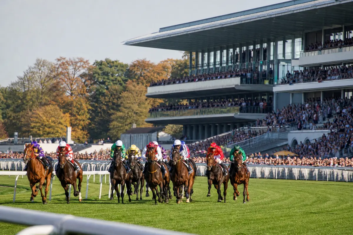 Chevaux de plat dans le dernier tournant d'un grand hippodrome parisien avec tribune moderne