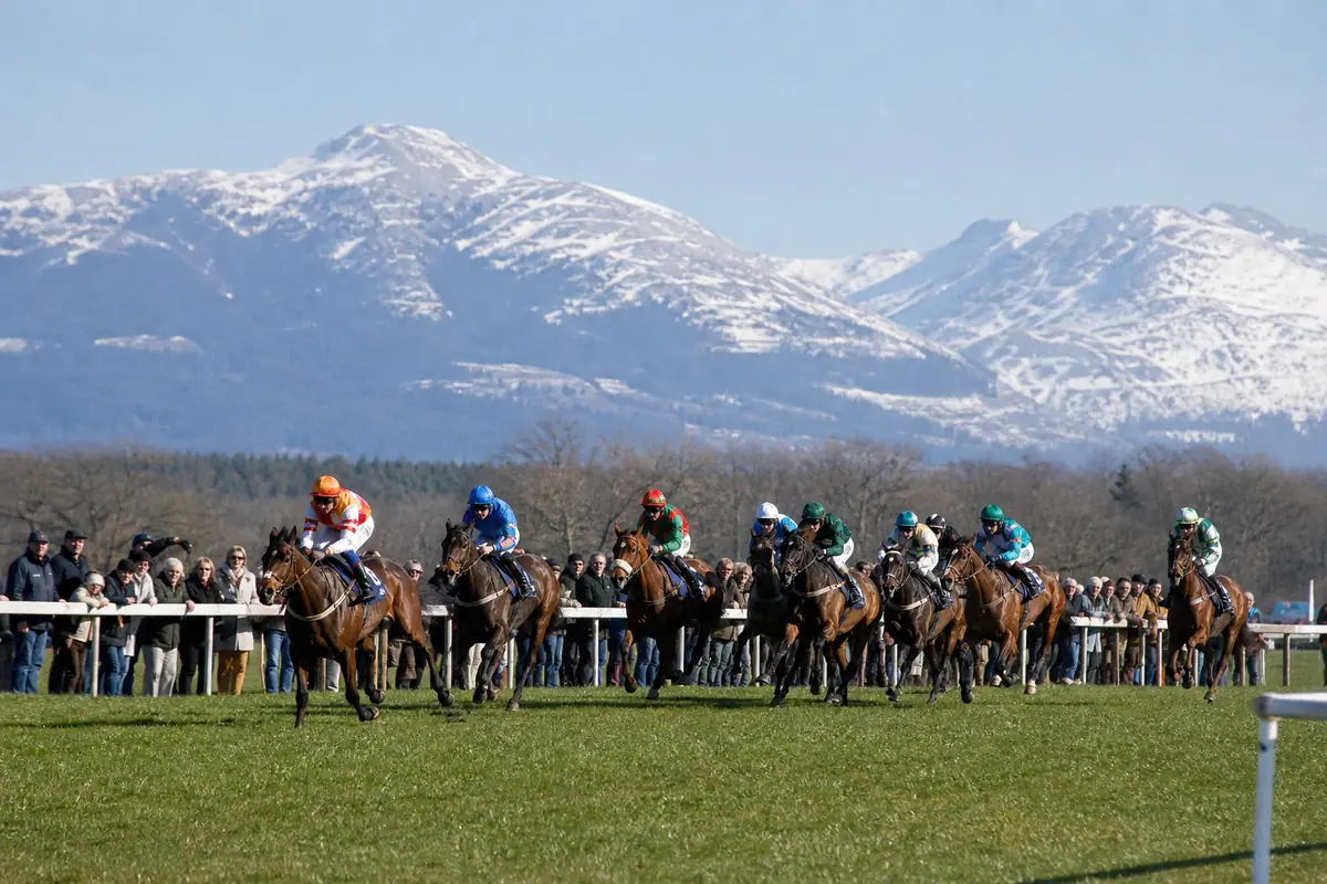 Chevaux d'obstacles en course avec les Pyrénées enneigées en arrière-plan