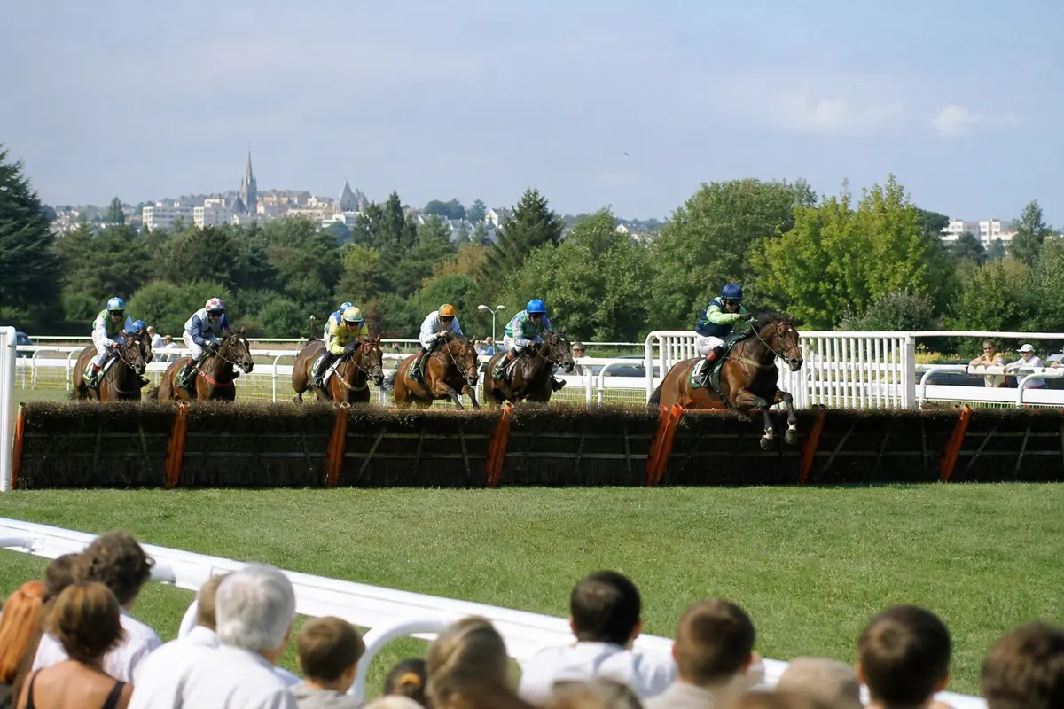 Chevaux d'obstacles sautant une haie sur un hippodrome du Sud-Ouest