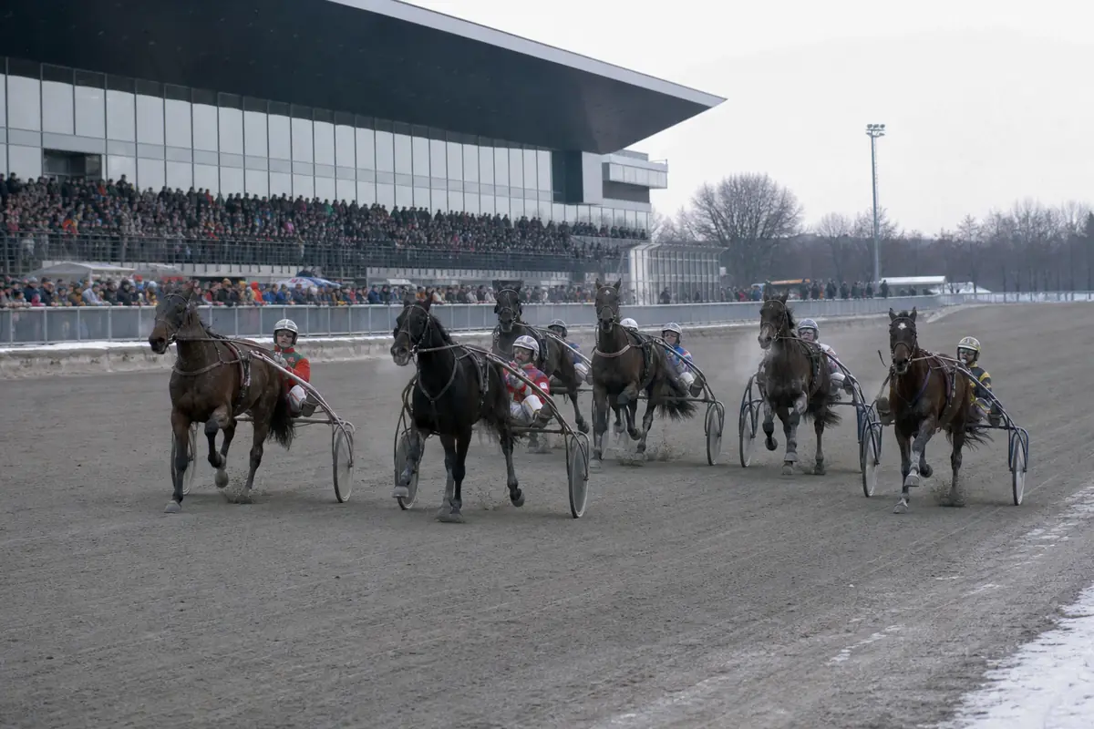 Trotteurs attelés dans la ligne droite d'un grand hippodrome de trot en hiver