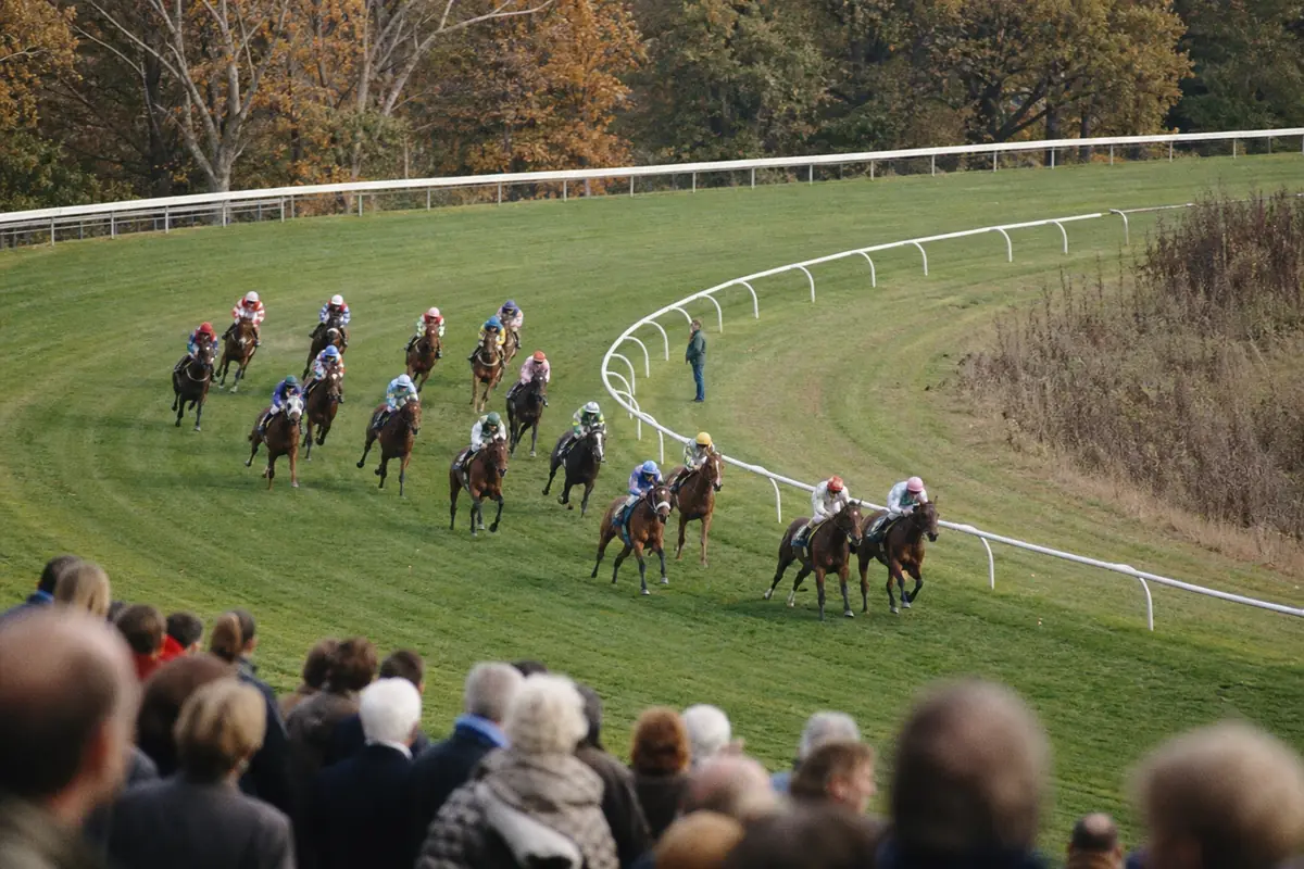 Peloton de chevaux de plat dans un tournant vu de haut