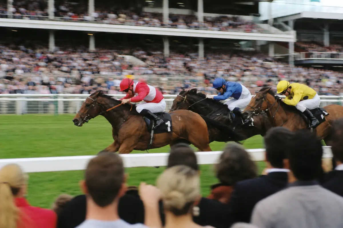 Arrivée disputée avec trois chevaux en tête devant les tribunes