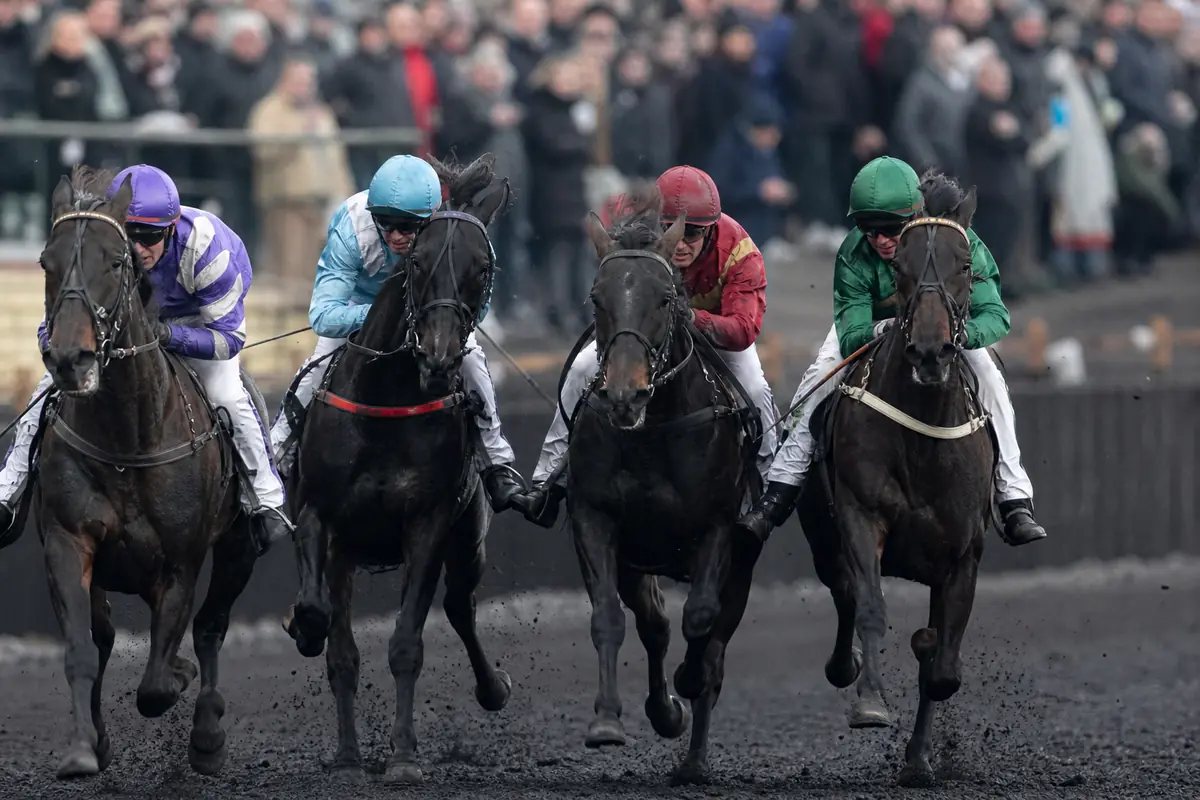 Quatre chevaux de tête dans la dernière ligne droite d'une course de trot monté