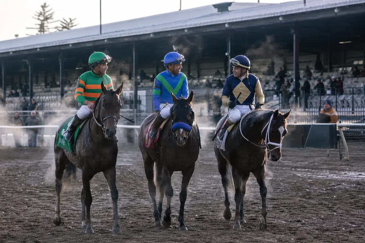 Podium de trois chevaux et leurs jockeys après une course