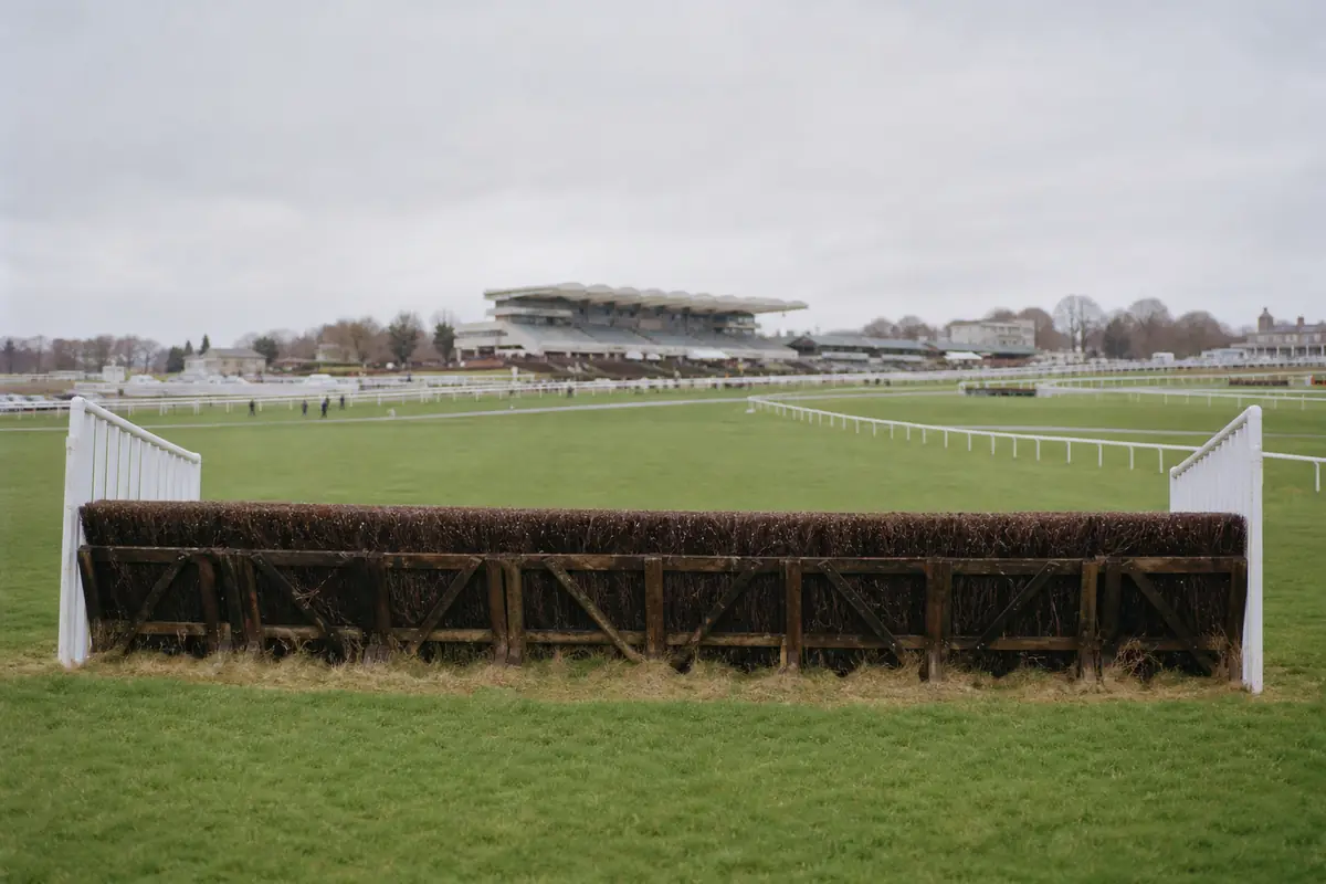 Obstacle de haies sur un hippodrome vide