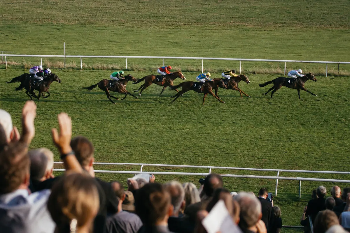 Arrivée d'une course de galop vue depuis les tribunes