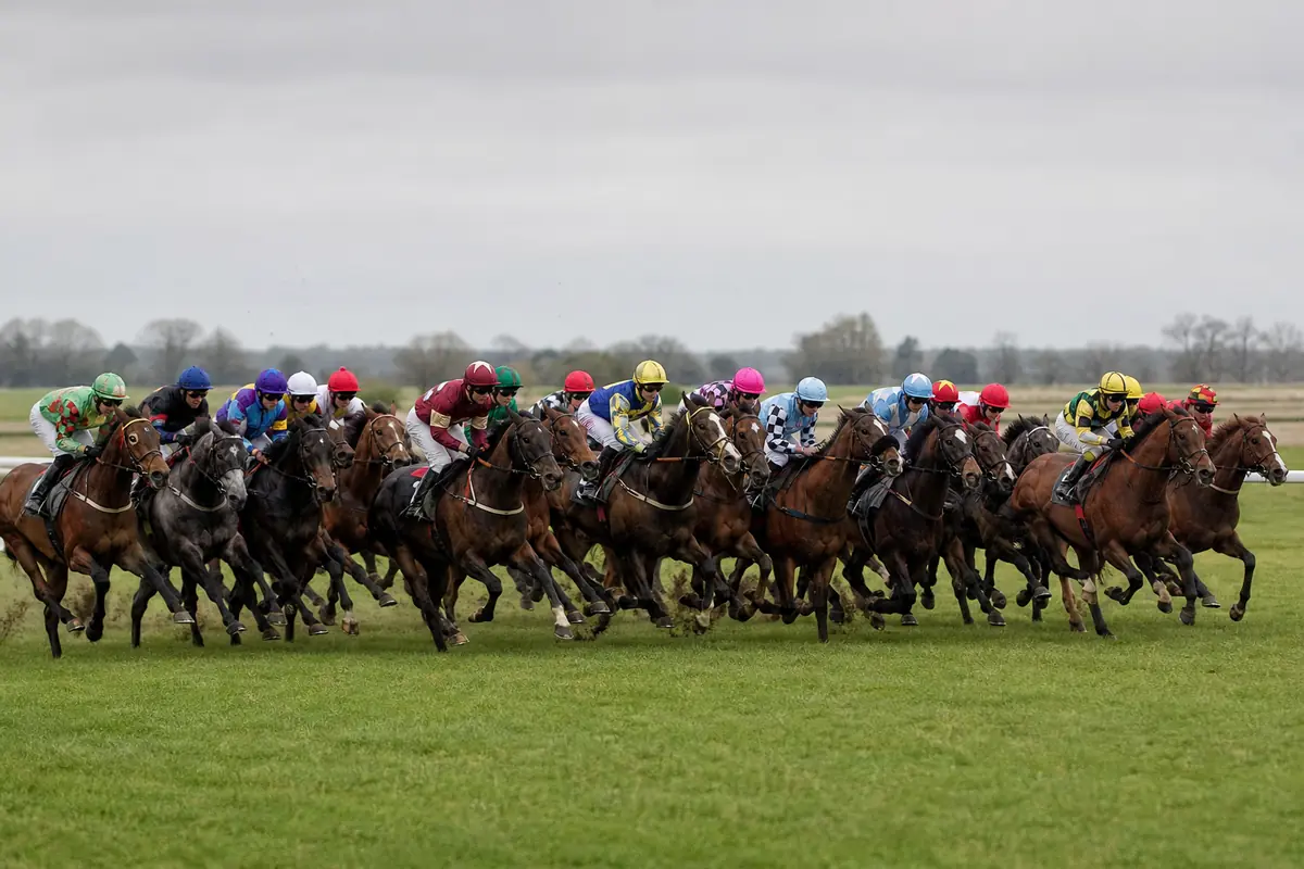 Grand peloton de chevaux groupés en milieu de course sur une piste en herbe