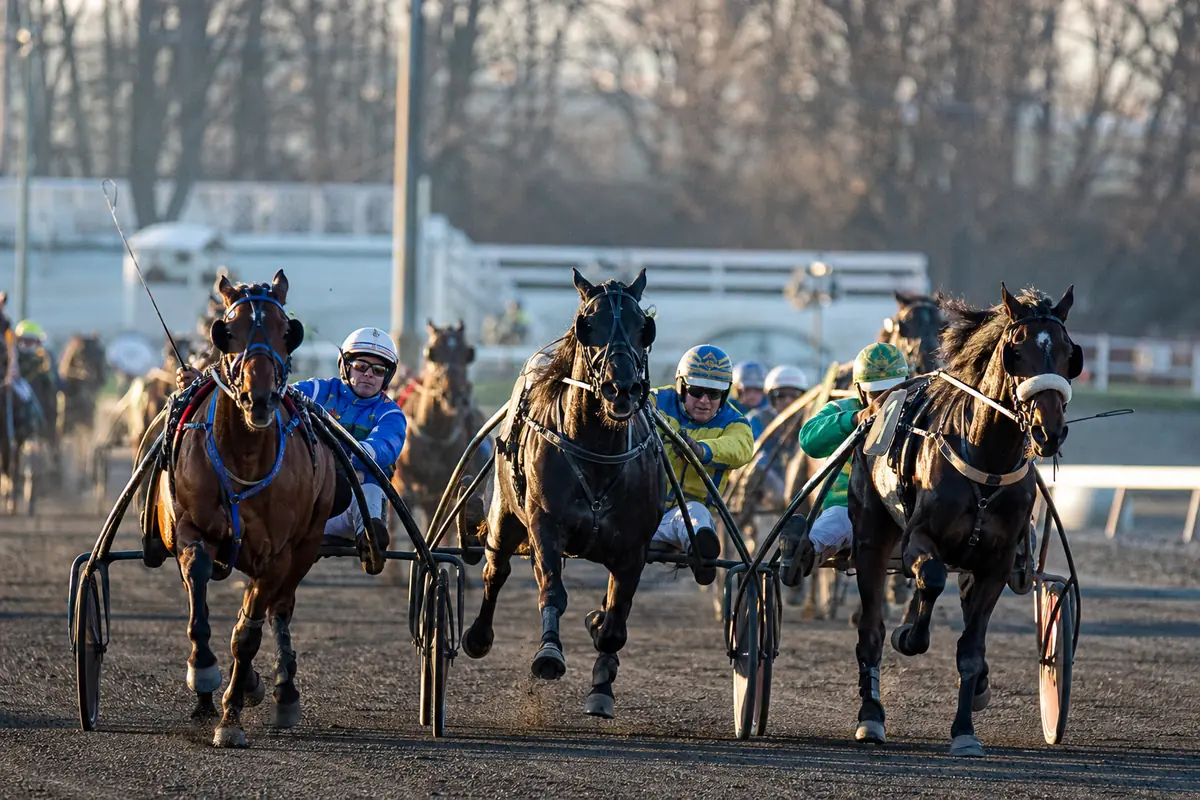 Trois chevaux en tête d'une course de trot attelé sur une piste en cendrée